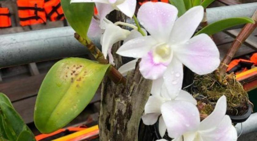 Orchid Lake House Ban Wang Khon Luaran gambar